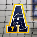 Custom Volleyball Letter Sign – Personalized 12" Wooden Wall Decor – Jersey Number & Team Colors Handmade 3D Wood Decor