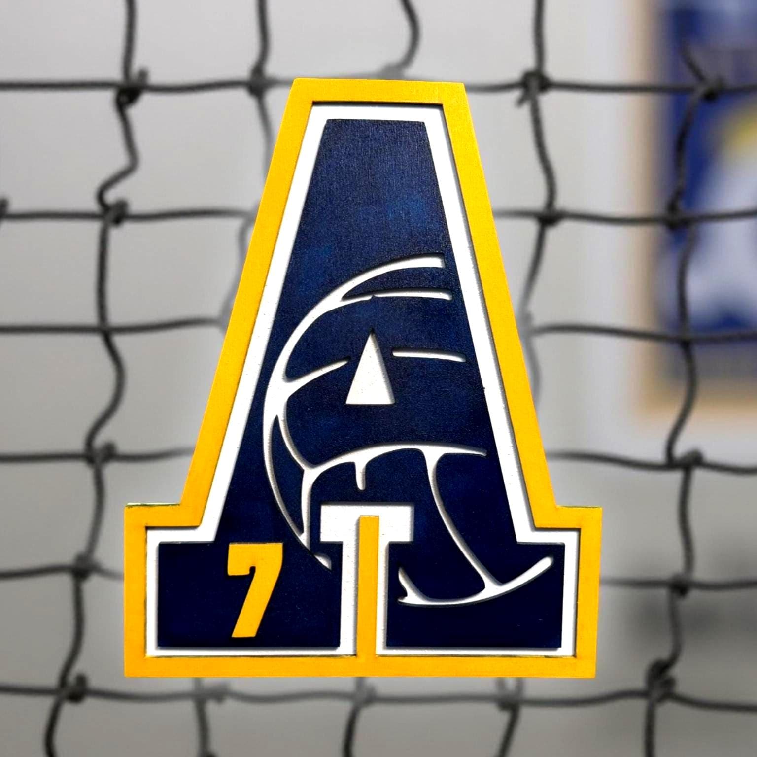 Custom Volleyball Letter Sign – Personalized 12" Wooden Wall Decor – Jersey Number & Team Colors Handmade 3D Wood Sign
